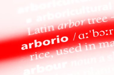 arborio Word'de bir sözlük. arborio kavramı.