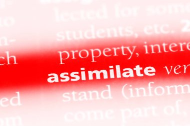 bir sözlüğü'ndeki sözcüğü özümsemek. kavramını özümsemek.