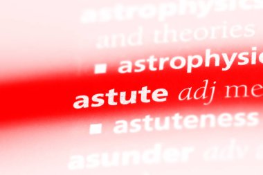 zeki kelime sözlüğe. cin kavramı.