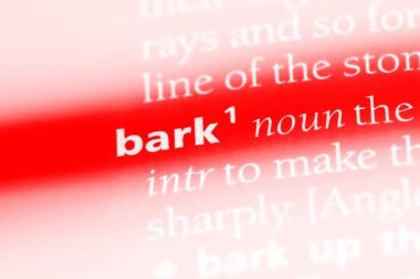 bir sözlüğü'ndeki sözcüğü kabuk. kabuk kavramı.