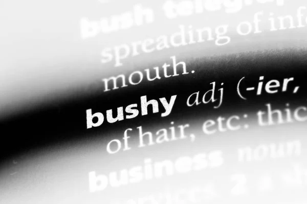 Palavra Grosseira Dicionário Conceito Bushy — Fotografia de Stock