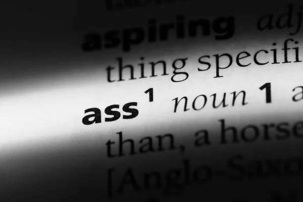Ass Word Dictionary Ass Concept — Stockfoto
