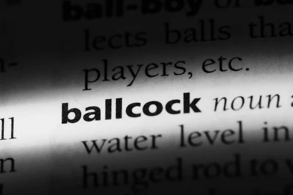 Palabra Ballcock Diccionario Concepto Ballcock — Foto de Stock