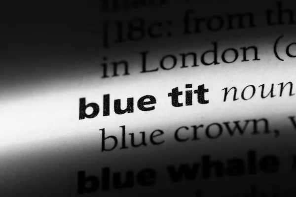 Kata Tit Biru Dalam Kamus Konsep Tit Biru — Stok Foto