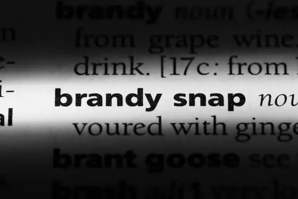 Brandy Palabra Rápida Diccionario Concepto Brandy Snap — Foto de Stock