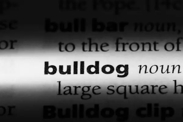 Bulldog Ord Ordbok Bulldog Koncept — Stockfoto