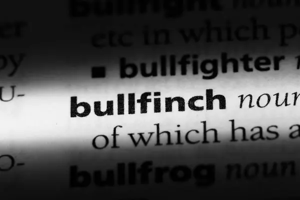 Bullfinch Word Dictionary Bullfinch Concept — Stock Photo, Image