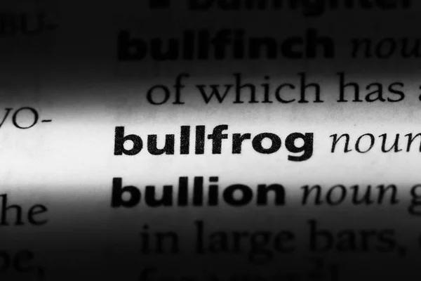 Bullfrog Word Dictionary Bullfrog Concept — Stock Photo, Image