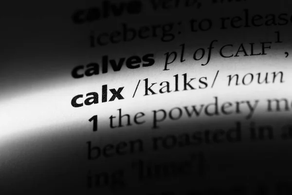 Calx Word Dictionary Calx Concept — Stock Photo, Image