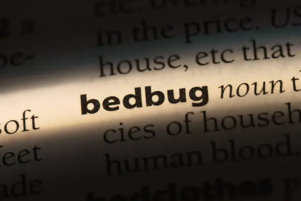 Bedbug Word Dictionary Bedbug Concept — Stock Photo, Image
