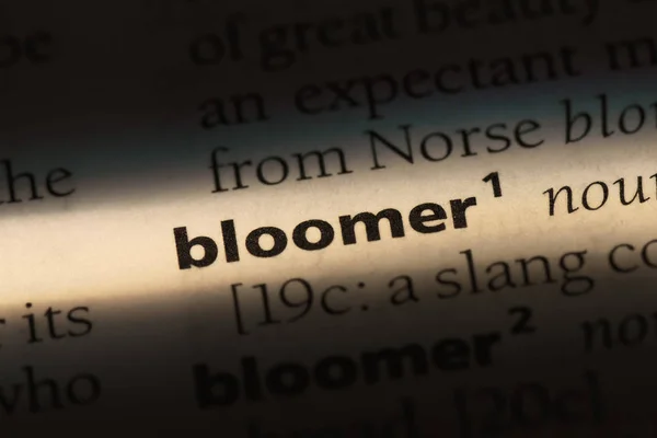 Bloomer는 사전에서 Bloomer — 스톡 사진