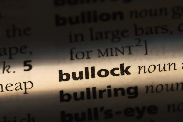 Bullock Ord Ordbok Bullock Koncept — Stockfoto