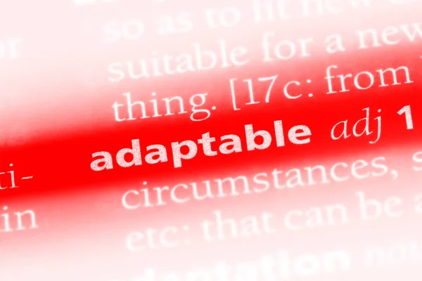 Mot Adaptable Dans Dictionnaire Concept Adaptable — Photo