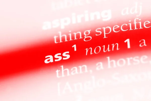 Ass Word Dictionary Ass Concept — Stock Photo, Image