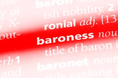 Barones Word'de bir sözlük. Barones kavramı.