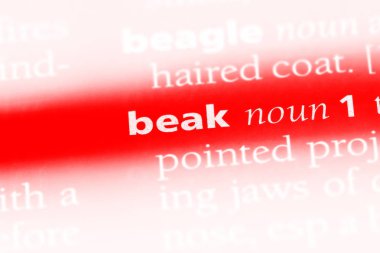 Gaga Word'de bir sözlük. Gaga kavramı.