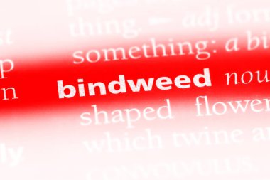 gündüzsefası Word'de bir sözlük. kahkaha kavramı.