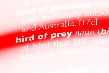 pray kelimenin Sözlükteki kuş. kuş dua kavramı.