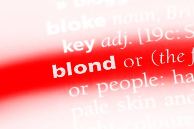 sarışın tek kelimeyle bir sözlük. sarışın kavramı.