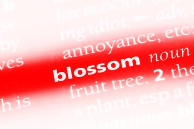 çiçeği Word'de bir sözlük. çiçeği kavramı.