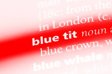 mavi baştankara Word'de bir sözlük. mavi baştankara kavramı.