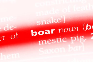 yaban domuzu Word'de bir sözlük. yaban domuzu kavramı.