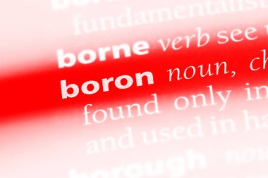 Bor Word'de bir sözlük. Bor kavramı.