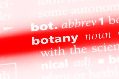 Botanik Word'de bir sözlük. Botanik kavramı.
