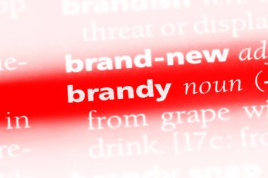 bir sözlüğü'ndeki sözcüğü brendi. brendi kavramı.