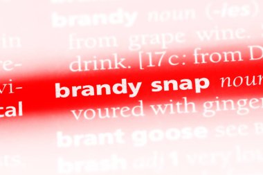 Brandy ek Word'de bir sözlük. Brandy ek kavramı.