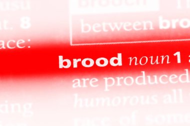 damızlık tek kelimeyle bir sözlük. damızlık kavramı.