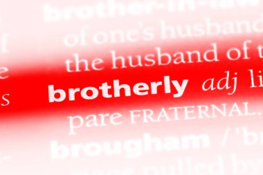 kardeş tek kelimeyle bir sözlük. kardeş kavramı.