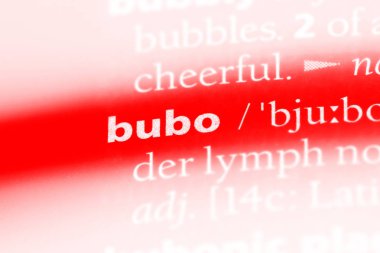 Bubo Word'de bir sözlük. Bubo kavramı.