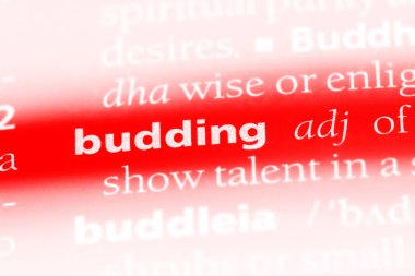 tomurcuklanma Word'de bir sözlük. tomurcuklanma kavramı.