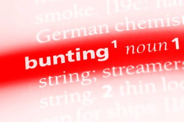 kiraz kuşu Word'de bir sözlük. kiraz kuşu kavramı.