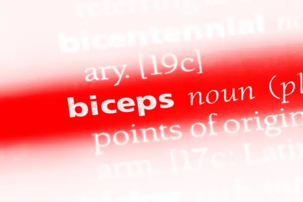 Palavra Bíceps Dicionário Conceito Bíceps — Fotografia de Stock
