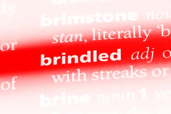 Brindled Tek Kelimeyle Bir Sözlük Brindled Kavramı — Stok fotoğraf