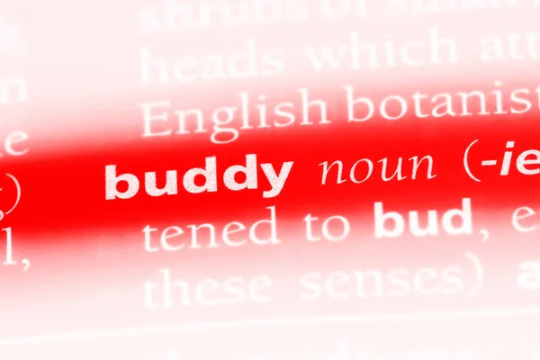 Buddy Word Dictionary Buddy Concept — Stock Photo, Image
