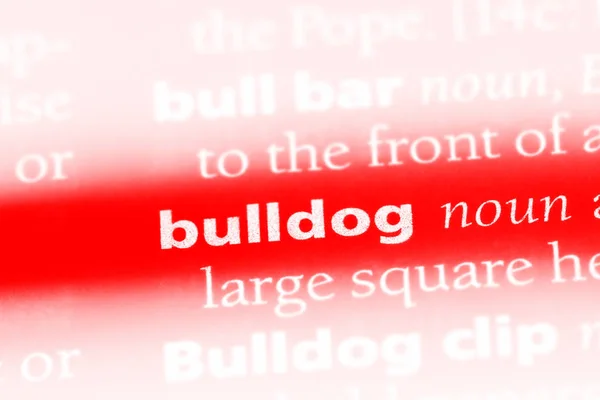 Bulldog Word Dictionary Bulldog Concept — Stock Photo, Image