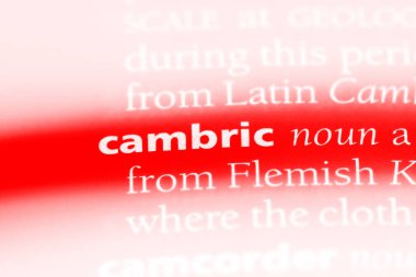 cambric sözcük sözlüğe. cambric kavramı.