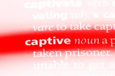 bir sözlüğü'ndeki esir sözcüğü. esir kavramı.