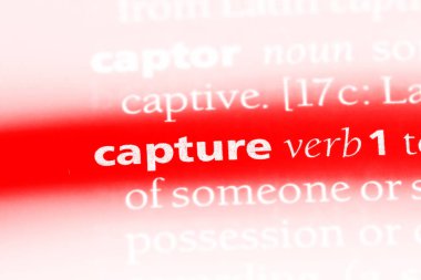 bir sözlüğü'ndeki sözcüğü yakalamak. yakalama kavramı.