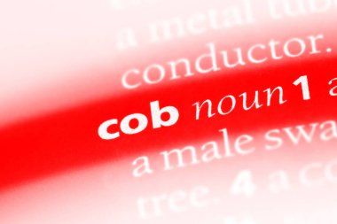 COB Word'de bir sözlük. COB kavramı.