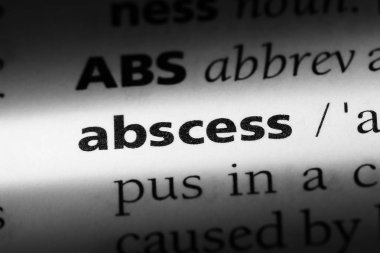 apse Word'de bir sözlük. apse kavramı.