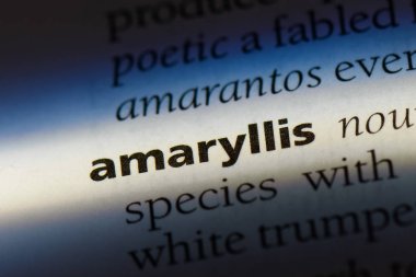 Amaryllis Word'de bir sözlük. Amaryllis kavramı.