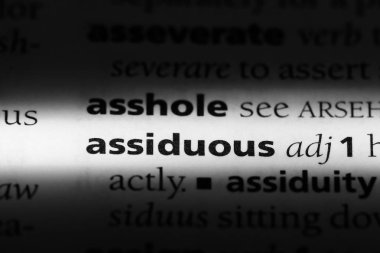 bir sözlüğü'ndeki özenli sözcüğü. özenli kavramı.