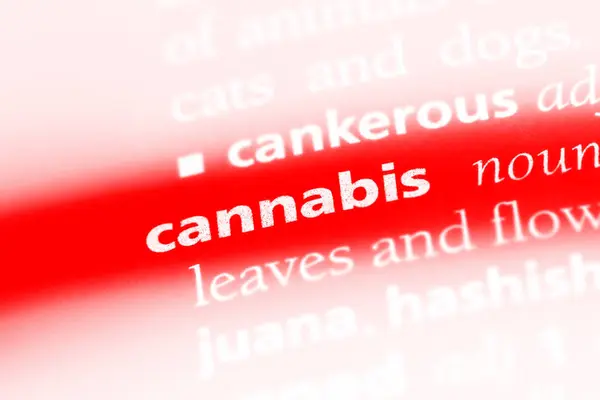 Cannabis Wort Einem Wörterbuch Cannabis Konzept — Stockfoto