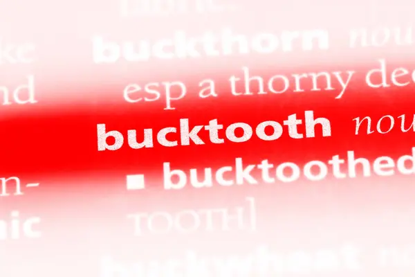 単語を辞書で Bucktooth Bucktooth コンセプト — ストック写真