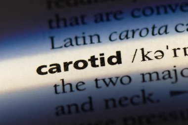 karotid tek kelimeyle bir sözlük. karotid kavramı