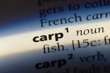 bir sözlüğü'ndeki sazan sözcüğü. sazan kavramı